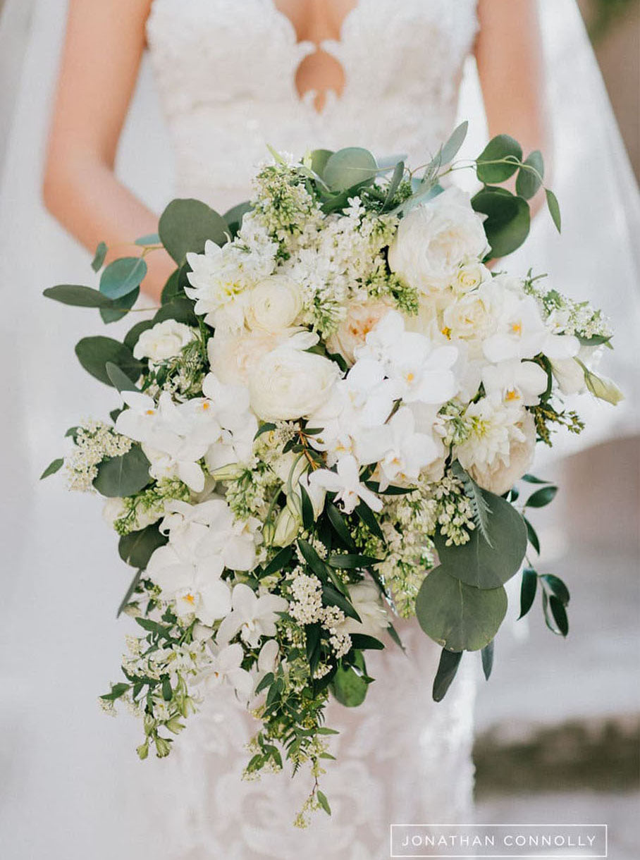
          Botanical Vizcaya Wedding
        