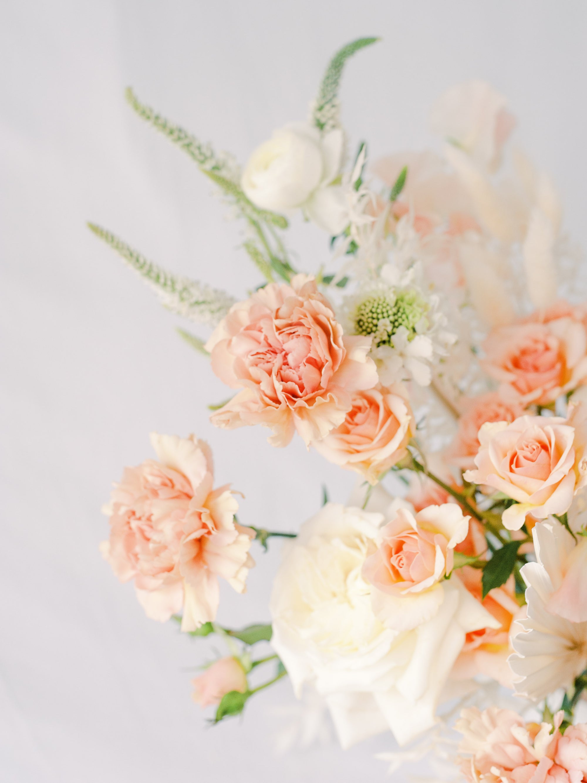 Julia Rohde Designs Floral and Events
